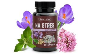 Na stres z ashwagandhą 60 kapsułek Skoczylas