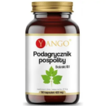 Yango Podagrycznik Pospolity Ekstrakt 10:1 90 kapsułek