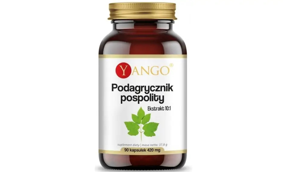 Yango Podagrycznik Pospolity Ekstrakt 10:1 90 kapsułek