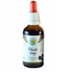 Orzech czarny nalewka 50ml Salvia Paradise